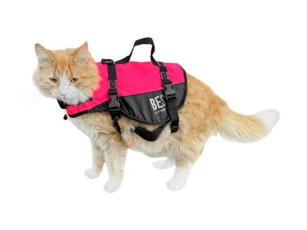 Besto Kattenzwemvest Deluxe 3-7 kg